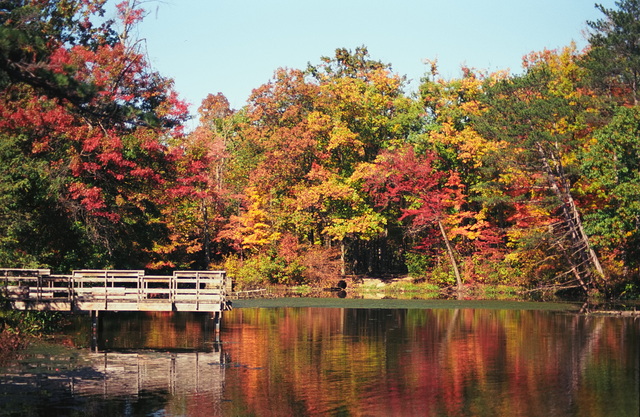 Fall in Ohio