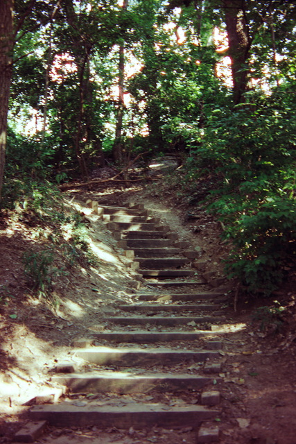 Steps