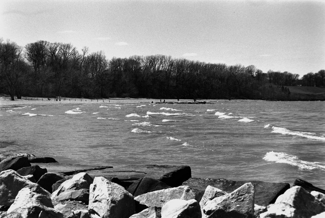 Edgewater Shore